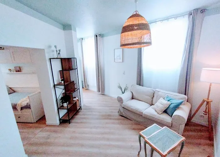 & Confort 3 Pieces Parking Clim Et Wifi Antibes