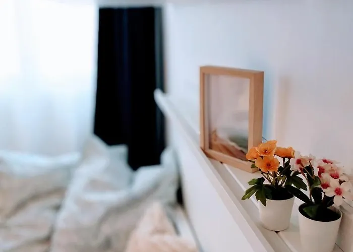 & Confort 3 Pieces Parking Clim Et Wifi Appartement