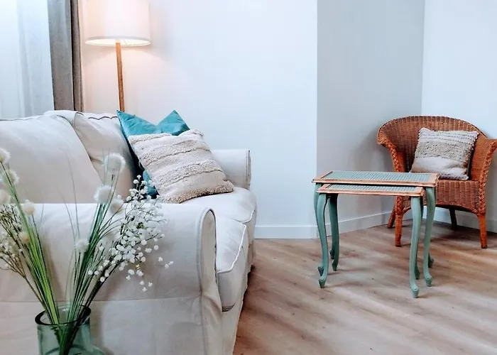 & Confort 3 Pieces Parking Clim Et Wifi Apartment