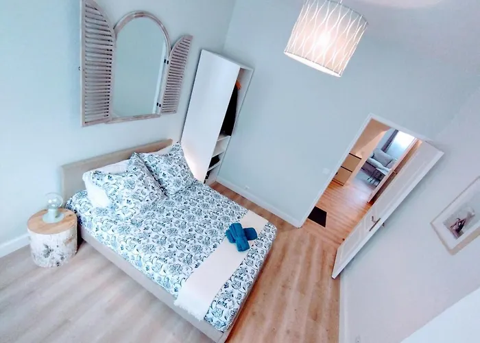 & Confort 3 Pieces Parking Clim Et Wifi